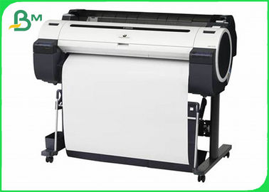 Wood Pulp 80GSM 24'' 36'' Plotter Roll Paper For Inkjet &amp; Pringting Industry