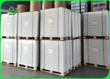 250gsm 300gsm One Side Coated FBB Board For Cosmetics Packaging 700 x 1000mm