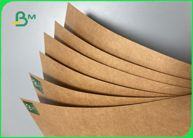 100% Plastic - Free Brown Kraft Cup Paper For Making Disposable Coffee Cup