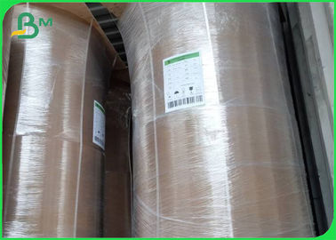 42gsm - 47gsm Brown Food Grade Paper Roll in Making Packing Bags