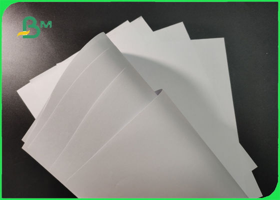 ISO Approved 70g 80g White Woodfree Paper Roll For Brochure Smooth