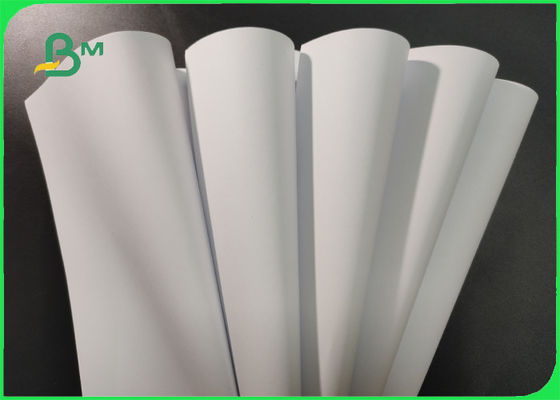 ISO Approved 70g 80g White Woodfree Paper Roll For Brochure Smooth