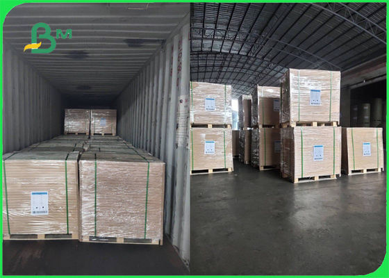 ISO Approved 70g 80g White Woodfree Paper Roll For Brochure Smooth