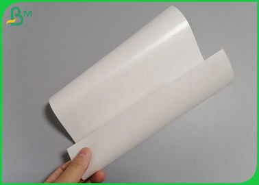 Food Grade Coated One Side PE White MG Paper Roll 30gr 40gr For Fresh Meat Wrapping