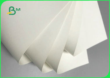 200um 250um Stone Paper In Reel Tear Resistance For Printing Map