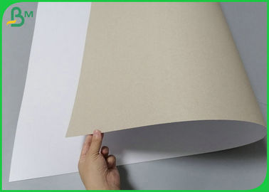 300g Good Strength White Horse Paper Sheet Grey Back For Packing Box