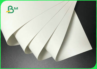 Environment Friendly Stone Paper Roll 120g 240g 300g For Carrier Bags