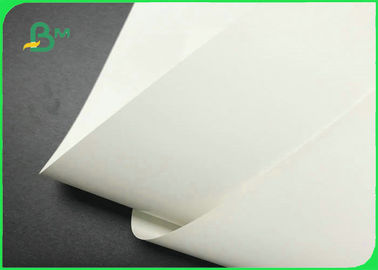 Environment Friendly Stone Paper Roll 120g 240g 300g For Carrier Bags