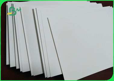 Durable Tear Resistant Paper Matte PP Synthetic 200um For Promotion Posters