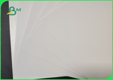 250gsm 300gsm PE Coating White Paper Board For Pizza Boxes Waterproof