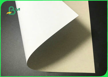 250gsm - 400gsm 61 * 61cm Coated Duplex Paper Board For Toothpaste Boxes