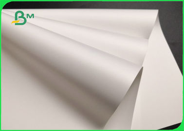 200um PET Film Synthetic Paper For Laser Printer High Density Tear Resistant