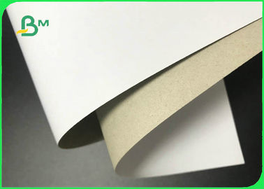 Recyclable Pulp Grey Back Duplex Board 250GSM 300GSM For Packaging