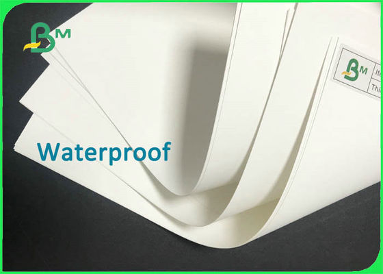 130um - 350um Synthesis Paper High Tear Strength For Printing Posters