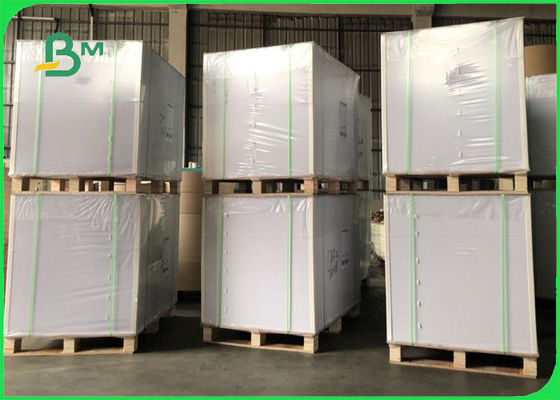 Food Grade Packaging Paperboard High Bulk 215 GSM Roll & Sheet