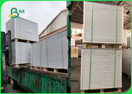Food Grade Packaging Paperboard High Bulk 215 GSM Roll & Sheet