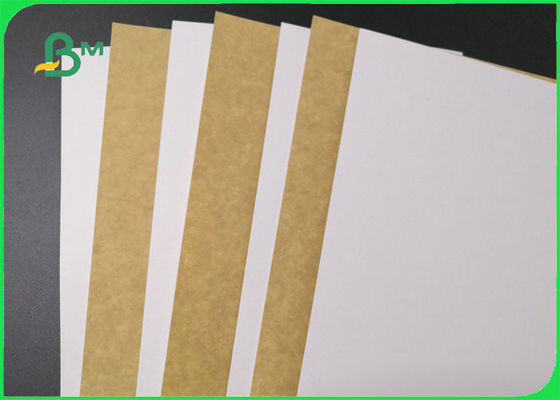 325gsm 365gsm 1 / S Clay Coated Kraft Board For Takeaway Boxes Good Stiffness