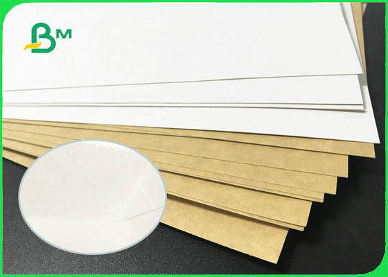 325gsm 365gsm White Top Kraft Back High Strength For Street Snacks Boxes