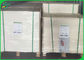 Coated One Side Food Grade Packaging 215gsm 250gsm White Ivory Paper board sheet