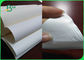 230um Premium Matt Coated Synthetic Paper HDPE Film Coated Paper