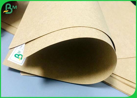 Virgin Kraft Test Liner Paper Board 250G 300G Brown Color Food Wrap Paper