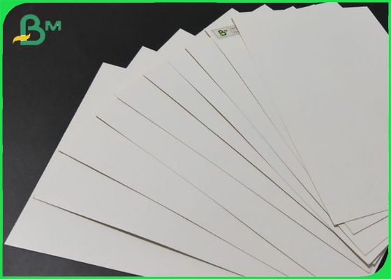 600mm - 1200mm Roll Width Food Grade Ivory Board Anti-Curl