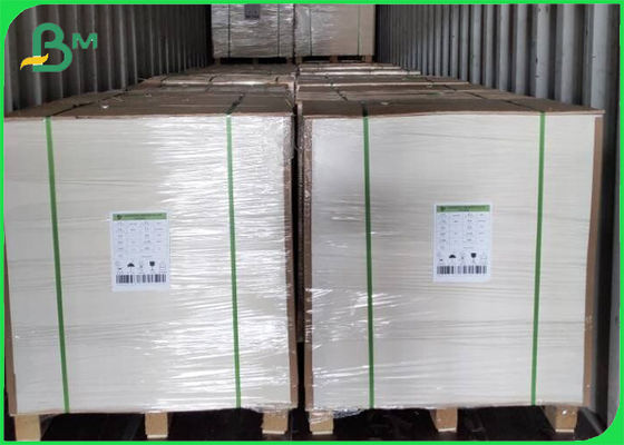 Water Proof Material PE Film Laminated Paper White Brown Coated 300g + 15g