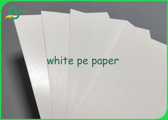 Water Proof Material PE Film Laminated Paper White Brown Coated 300g + 15g