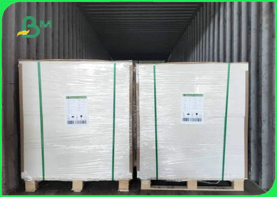 200gsm - 350gsm Environmental White Top Kraft Liner For Food Packing