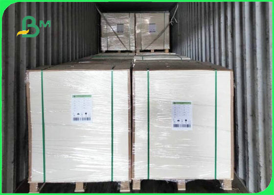 200gsm - 350gsm Environmental White Top Kraft Liner For Food Packing