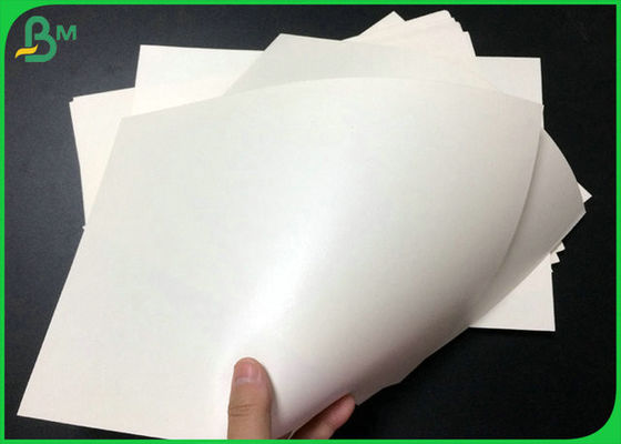 Waterproof 190g 210g Cardboard Cup Paper Foodgrade For Paper Cup Raw Material