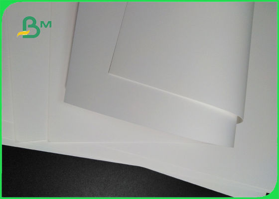 200um Printable Resin Coated Synthetic Paper For Pacakging And Labelling