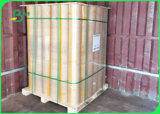 100% Oil - proof Food Industrial Use PE Coated Kraft Paper Roll 800 * 1100mm