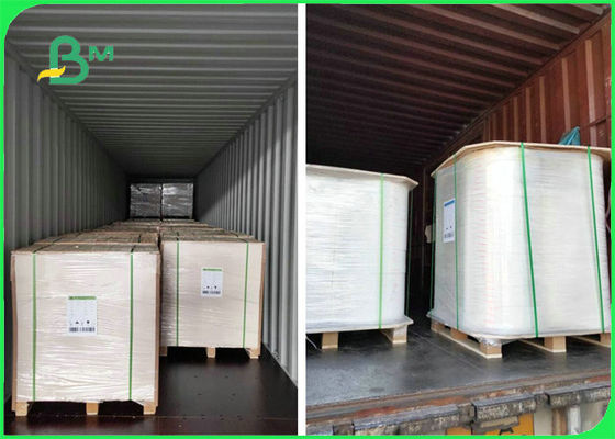 Food Grade Packing PE Coated White Craft Paper Moistureproof &amp; Greaseproof