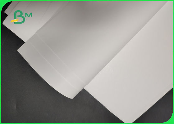 787mm 889mm White C2S Matte Paper Roll For Artwork Good Printing