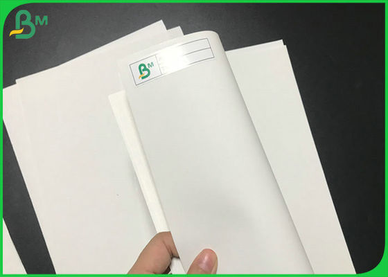 240 Gram Uncoated Anti Water 200um Thick Matte Stone Paper For Printing