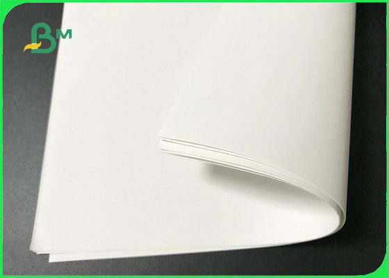 120g - 600g Sustainable &amp; Recyclable Stone Paper For Children Books