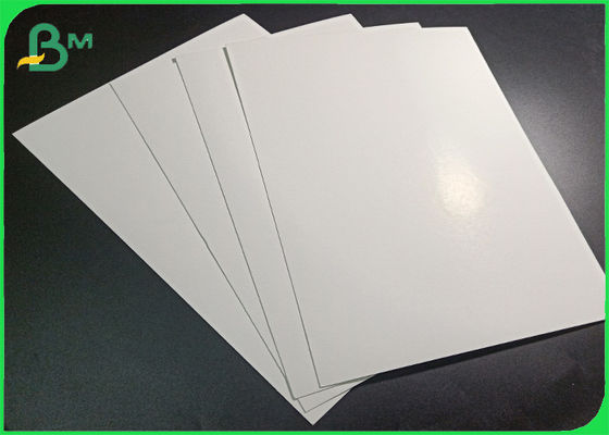 Food Grade One Side Pe Coated White Kraft Paper For Lunch Box