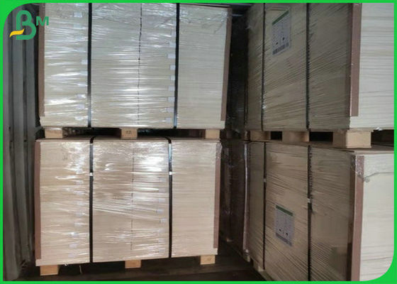 1.3mm 1.4mm Pure Pulp White Absorbent Blotter Paper For Making Beer Mat 24 x 36inch