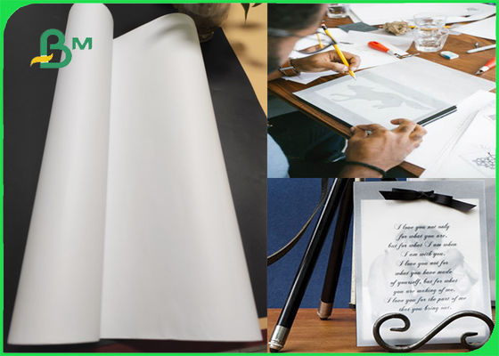 53gsm A1 Natural Tracing Paper In Roll For Manual Drafting And Printing