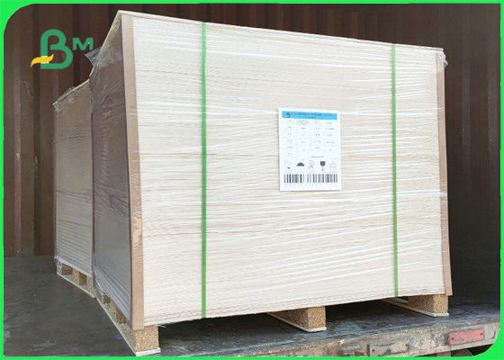 Food Grade White Coated Kraft Back Board 250GSM 270GSM For Packing Fruits