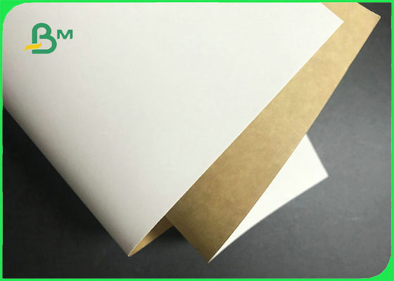 200gsm - 360gsm White Top Kraft Back Board In Sheet For Food Packages Container