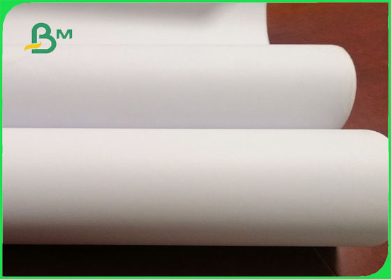 uncoated white wide Format Paper Inkjet plotter paper Roll 80gsm