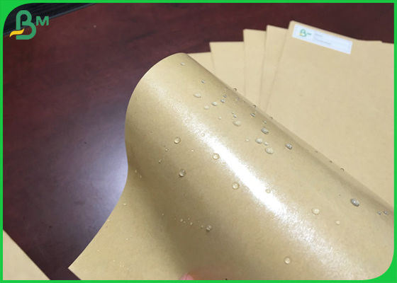 787mm 250g Brown Kraft Paper With 15g PE Coated For Pizza Box Oilproof