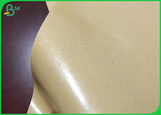 787mm 250g Brown Kraft Paper With 15g PE Coated For Pizza Box Oilproof