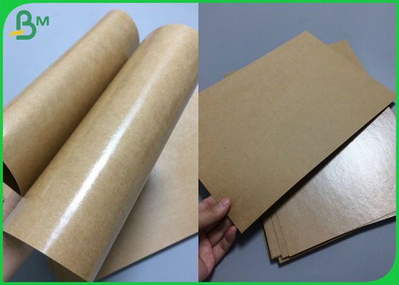 Grease Resistant Food Grade Kraft Board Coated PE Material 300gsm 350gsm