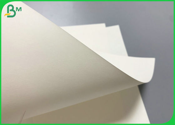 250g + 20g PE Coated Food Grade Paper For Ice Cream Industry