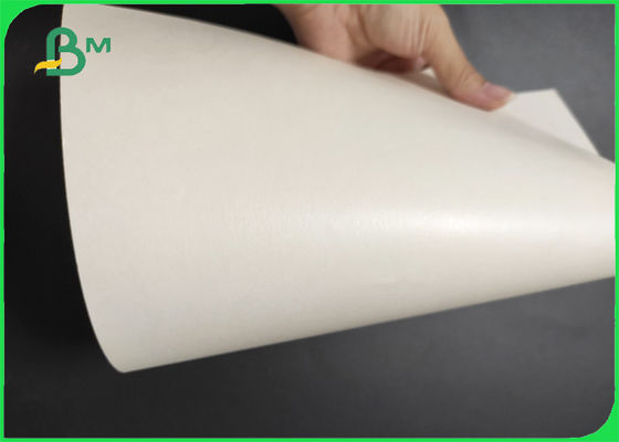 Food Grade PE One Side Coated Cupstock Paper 210g Paper 10g PE