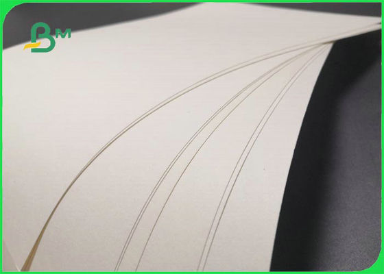 Compostable Cupstock PE Coated Paper For Beverage 100% OBA Free 79 * 109cm