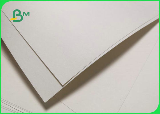 Compostable Cupstock PE Coated Paper For Beverage 100% OBA Free 79 * 109cm